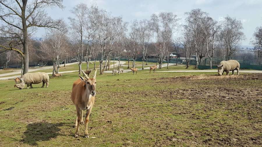 Safari Park Pombia