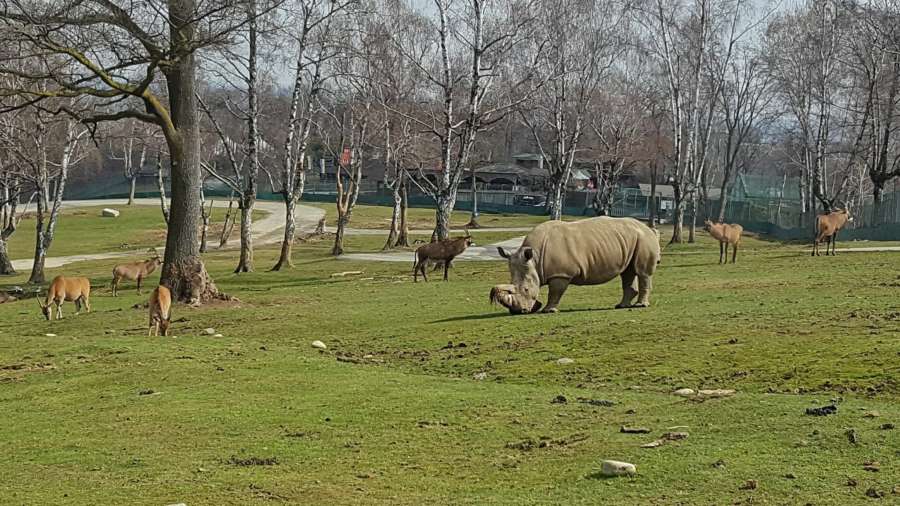 Safari Park Pombia