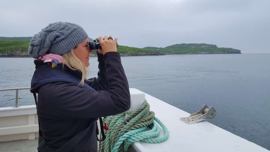 Whale Watch West Cork