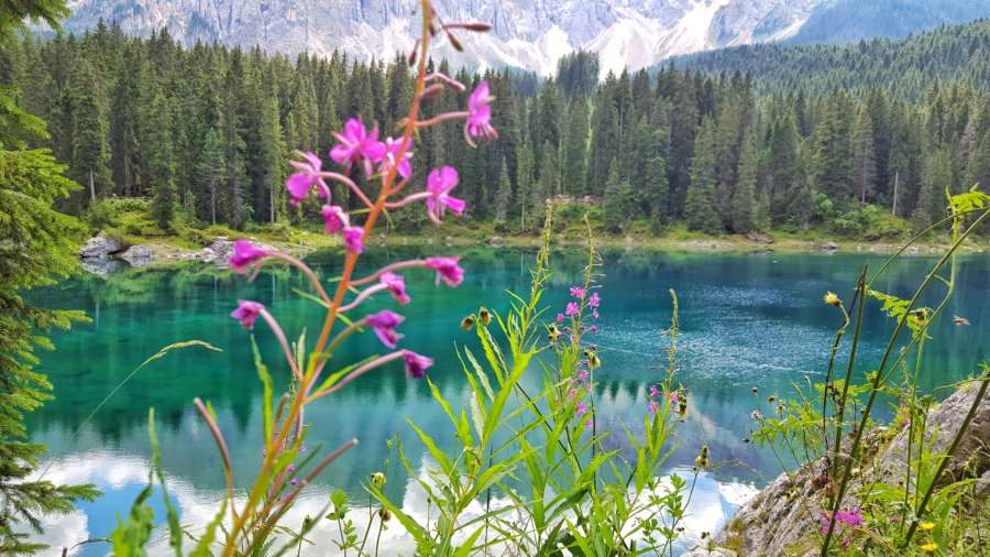 Lago di Carezza