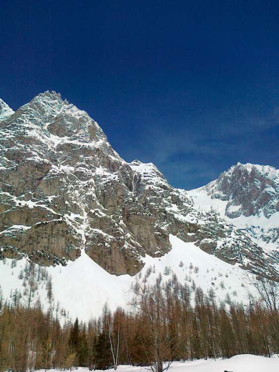 val ferret