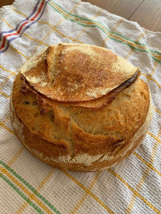 pane con lievito madre