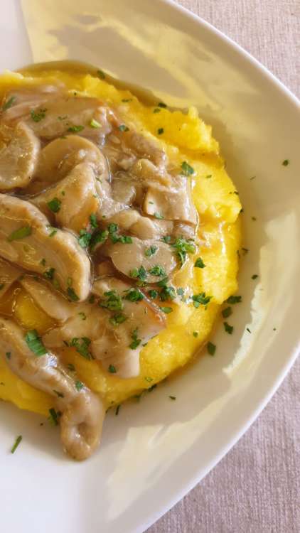 Polenta e funghi