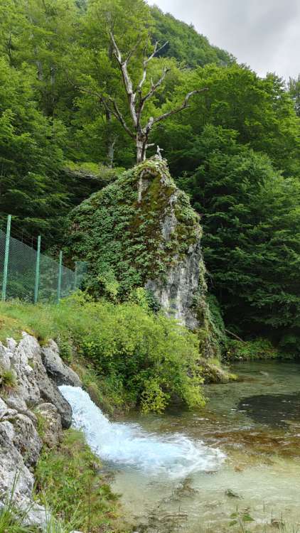 Parco d'Abruzzo