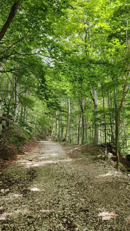 Parco d'Abruzzo