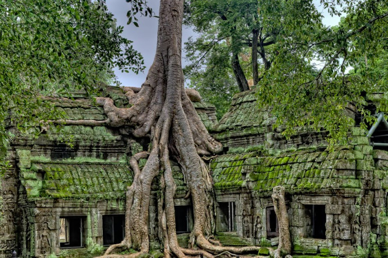 Ta Prohm